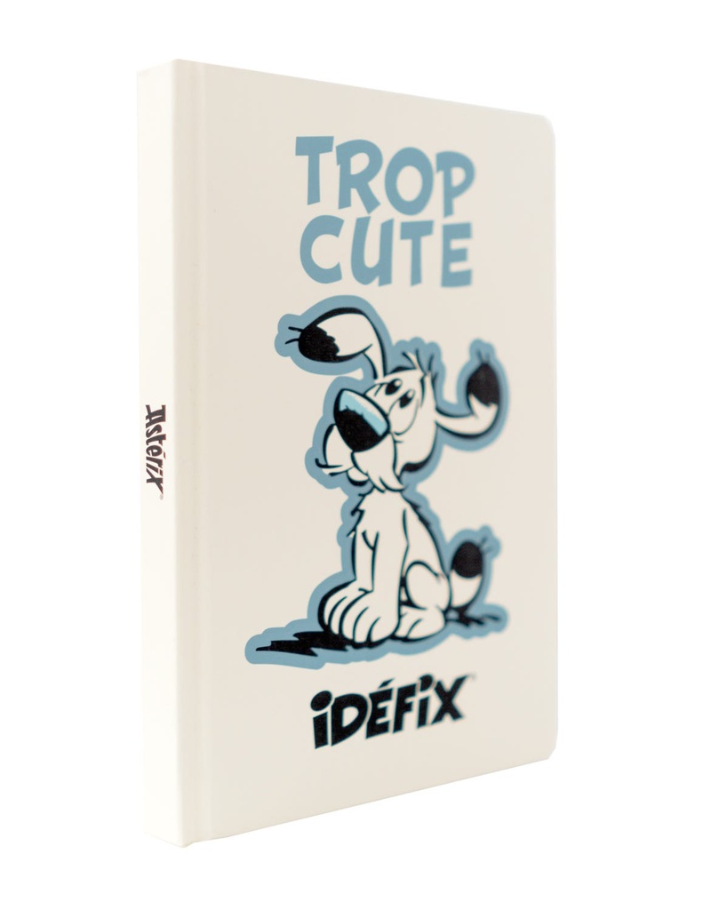 Notebook A5 Premium Asterix Ideafix