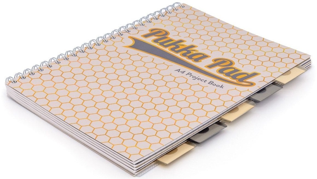 Pukka Haze Assorted A4 Project Book