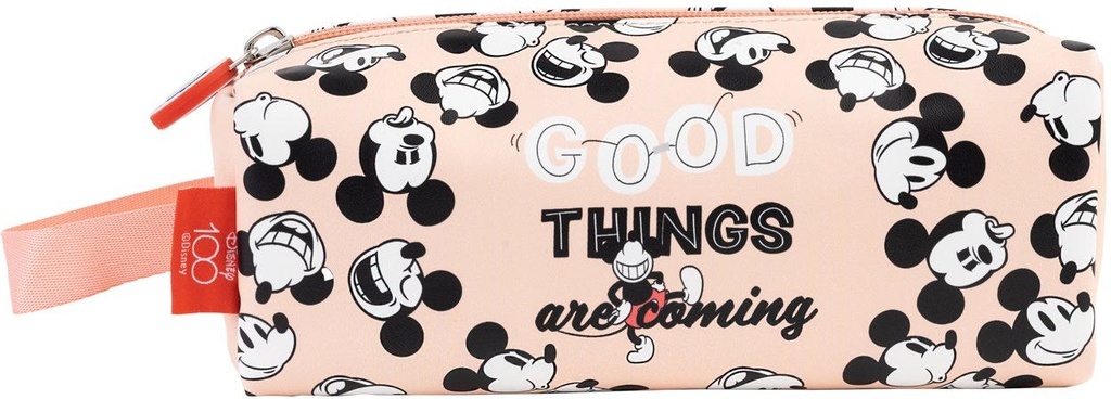 Disney Mickey 100Th Anniversary Rectangular Case