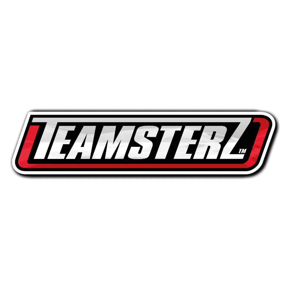 وسم: Teamsterz