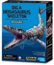 Dig A Mosasaurus Skeleton