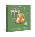 Touch And Feel Opposites (Pocket)