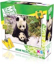 Animal Planet Multi color