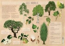 Les Posters de l'école : Arbres