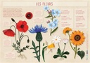 Les Posters de l'école : Fleurs