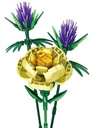 Wonderful Yellow And Purple Flowers