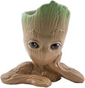 Pl Groot Pen Plant Pot Home