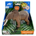 1 pcs elephant in open touch box