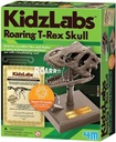 4M KidzLabs/Dino Skull