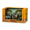 African Elephant Family