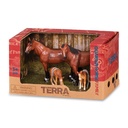 Horse Family
