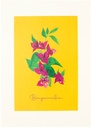 Bougainvillea Artprint (A3)