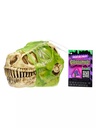 GrossMos Blind Dino asstd (S1) (PDQ)