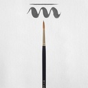 ROC/RAC BRUSH 241/12 FSC