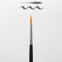 Van Gogh Watercolor Brush Series 191 No. 5