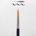 Van Gogh Watercolor Brush Series 191 No. 10