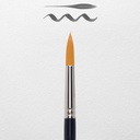 GWC BRUSH 191/12 FSC#