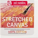 TAC STR.CANV.COT.3D 20X20 FSC#
