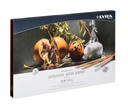 Wodden Box With 2 Shelves Rembrandt Polycolor Artist Atelier