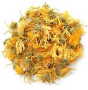 Flower Dried Set of 12 orange Color