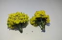 Tree and Flower Model Green Yellow C-04 Set of 2 pcs