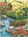 PBN JR SM RED EARED SLIDER
