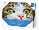 Dotting Diamond Set Green Eyed Beauty with Frame 35.50 x 27.70 CM