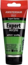 Amsterdam Expert Series Acrylic Tube 75 ml Permanent Green Light 618