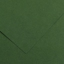 SH Colorline 70X100Cm 220GSM Fir Tree 31