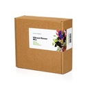 Click & Grow Vibrant Flower Mix /9-pack