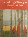 قلعة في البيرينيه