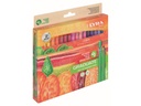 Felt Tip Marker, Set of 36,Lyra Graduate Art Tip