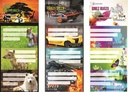 Brio Name Labels-6005