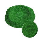 Glitter Powder 100ML Green 201-GRN