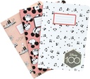 Disney Mickey 100Th Anniversary Pack Of 3 A6 Notebooks